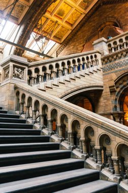 Londra, İngiltere - 9 Kasım 2013: Doğal Tarih Müzesi, Londra 'dan Viktorya dönemi mimari detayları. Neredeyse tüm binalar mermerden yapılmıştır..