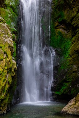Pinard Falls 'un yakın plan kompozisyonu Oregon ormanlarının yoğun bir kanyonundaki kayalıklardan aşağı ve yukarı akıyor..