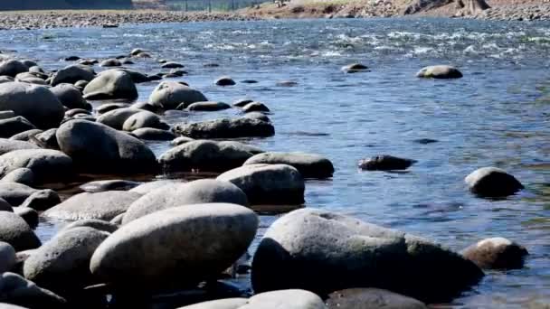 Upper Middle Fork Willamette River Boven Hills Creek Reservoir Buurt — Stockvideo