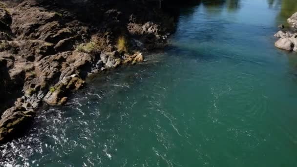 Closeup Footage Water Middle Fork Willamette River Town Oakridge Shot — Stock Video