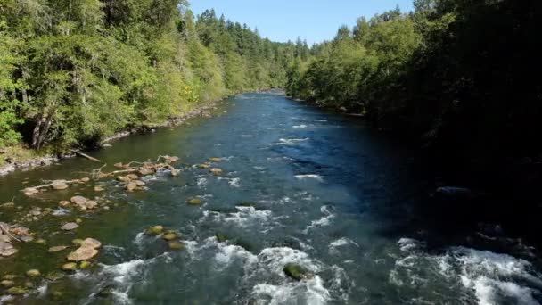 Zbliżenie Wody Środkowym Rozwidleniu Rzeki Willamette Niedaleko Miasta Oakridge Kręconej — Wideo stockowe
