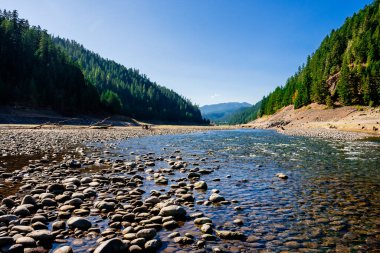 Willamette Nehri 'nin üst orta çatalı su rezervuarının su seviyesinin son derece düşük olduğu eski bir göl yatağının içinden akar..