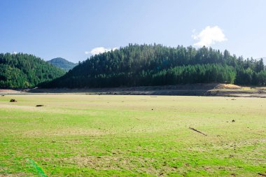 Kurumuş çamur ve doğal bitkilerle çorak arazide, Hills Creek Barajı 'nda düşük suyla yeşil çimenler büyüyor..
