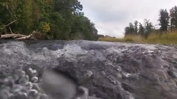 Filmagem Rio Fluindo Rápido Uma Câmera Ação Submergindo Debaixo Água — Vídeo de Stock