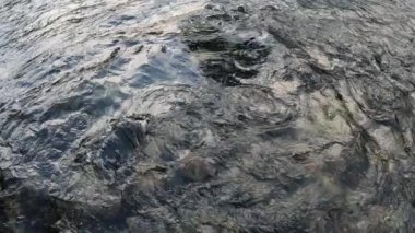 Sonbaharda doğan güzel McKenzie Nehri 'nin 4K görüntüsü. Su akıyor ve 2020 'de bu bölgede meydana gelen Holiday Farm Fire' ın yanık bölümünde balık tutmak için harika görünüyor..