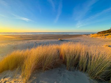 Oregon 'da kum tepeleri ve sahil otları. Gökyüzünün hala mavi olduğu güzel bir günbatımında..
