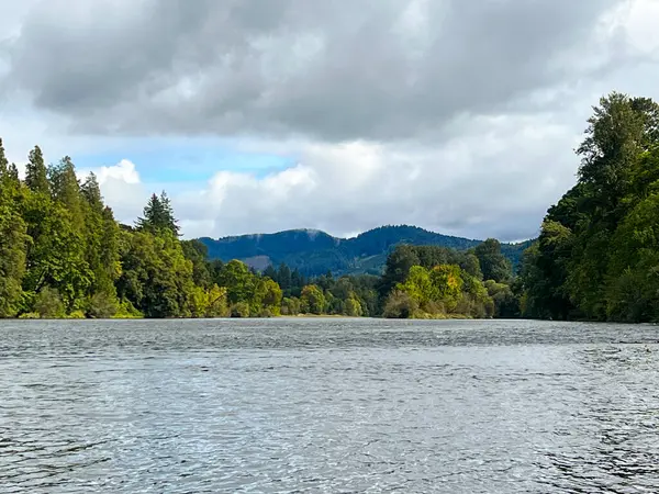 Jesień Zaczyna Się Nad Rzeką Dolną Mckenzie Oregonie Niedaleko Miasta Zdjęcie Stockowe