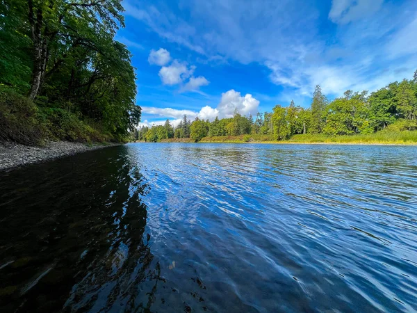 Queda Começa Lower Mckenzie River Oregon Perto Cidade Springfield Este Fotografias De Stock Royalty-Free