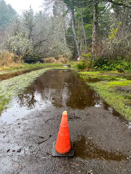 Powodzie Wysokie Wody Nad Jeziorem Oregon Doprowadziły Stożka Oznaczającego Zalaną Obrazek Stockowy
