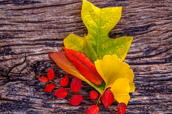 Složení Barevných Podzimních Listů Dřevěném Stole Květinové Složení Podzimních Listů — Stock fotografie