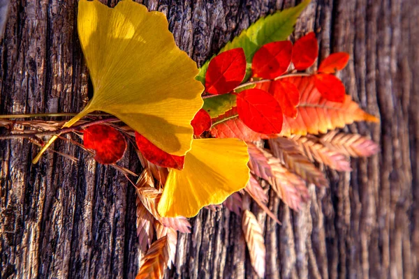 Samenstelling Van Kleurrijke Herfstbladeren Een Houten Tafel Bloemsamenstelling Van Herfstbladeren — Stockfoto