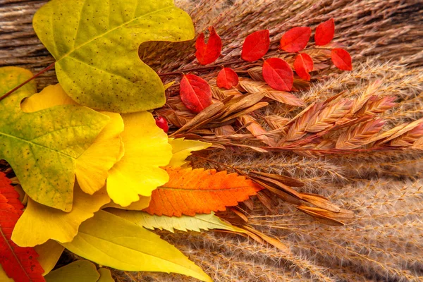 Composición Hojas Coloridas Otoño Sobre Una Mesa Madera Composición Floral — Foto de Stock