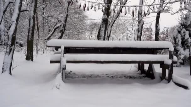 정원에 벤치가 테이블 공원의 풍경에는 벤치와 벤치가 있습니다 겨울의 — 비디오