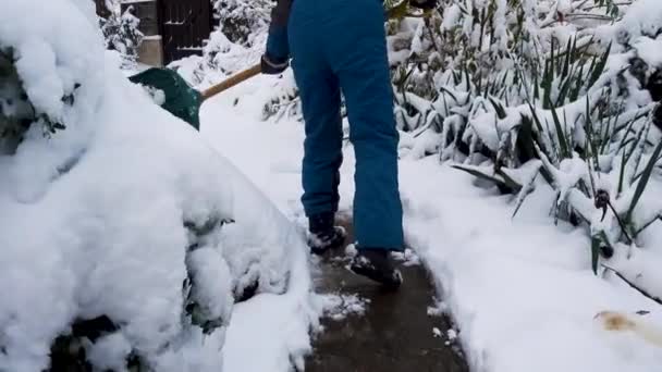幸せな若い女性は家の近くの庭で雪をきれいにする 雪のシャベルを手にした少女の肖像画 幸せな女の子は庭の家の近くの雪を削除します 幸福と喜びの概念 — ストック動画