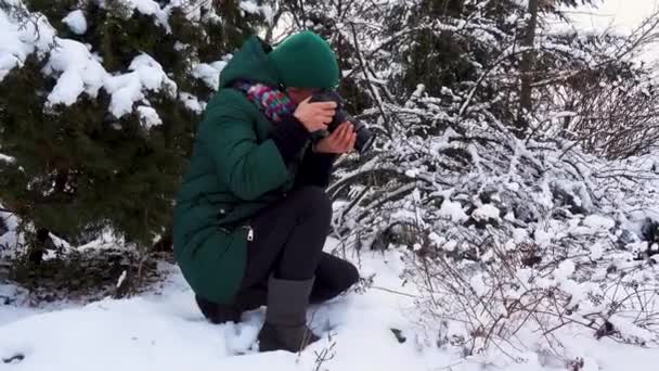 겨울에 카메라를 여성의 초상화 소녀는 겨울을 촬영한다 눈덮인 공원에서 카메라를 — 비디오