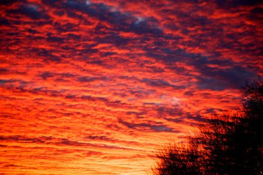 Gloomy dramatic clouds at sunset. Beautiful ultramarine clouds at sunset in the park. The concept of nature, storm, disaster. 