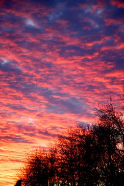 Gloomy dramatic clouds at sunset. Beautiful ultramarine clouds at sunset in the park. The concept of nature, storm, disaster. 