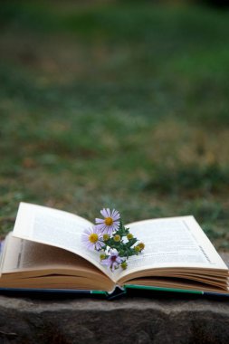 Masada eski bir kitap var.