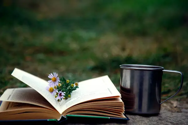 Sonbaharda Bahçede Bir Fincan Kahvenin Bir Kitabın Kompozisyonu - Stok İmaj