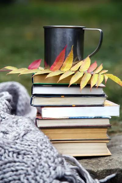 Secangkir Kopi Dengan Latar Belakang Buku Dan Selimut Komposisi Cangkir Stok Foto Bebas Royalti