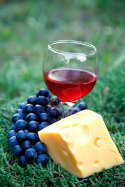 Üzüm ve peynirin içinde bir kadeh kırmızı şarap. Bahçede kırmızı şarap, peynir ve üzüm karışımı.. 
