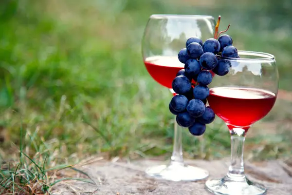庭に赤ワインとブドウの束が付いているガラス グラスとブドウの束の赤ワイン ロイヤリティフリーのストック画像