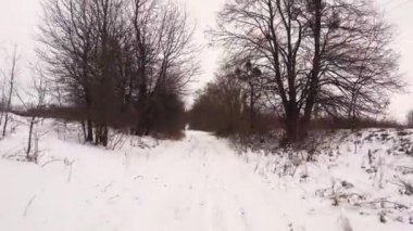 Bir araba penceresinden kışın karlı bir kır yolu manzarası. Kışın karlı bir kır yolunda araba sürmek. Orman, tarla kış yolu. 