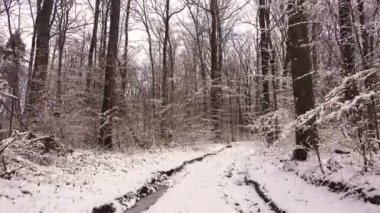 Bir araba penceresinden kışın karlı bir kır yolu manzarası. Kışın karlı bir kır yolunda araba sürmek. Orman, tarla kış yolu.  