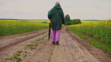 Kolza tohumu tarlasında şemsiyeli yaşlı bir kadın yürüyor. Kolza tarlasında yürüyen yaşlı bir kadının portresi. Yaşlılık, neşe, bakım kavramı. 
