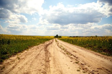 Çiçekli bir kolza tohumu tarlasından yol manzarası. Kolza tohumu tarlasında toprak yol. Tarım, endüstri, doğa kavramı.. 