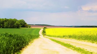 Çiçekli bir kolza tohumu tarlasından yol manzarası, zaman ayarlı. Kolza tohumu tarlasında toprak yol, zaman ayarlı. Tarım, endüstri, doğa kavramı..