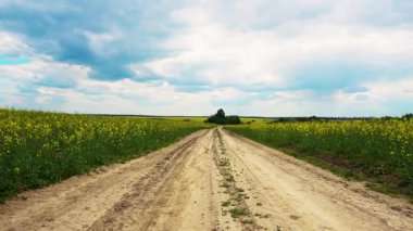 Çiçekli bir kolza tohumu tarlasından yol manzarası. Kolza tohumu tarlasında toprak yol. Kamera hareketi. Tarım, endüstri, doğa kavramı.. 
