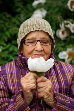 Parktaki bir bankta elinde şakayık çiçeğiyle yaşlı bir kadın. Pansiyonda kalan yaşlı bir kadın hayatın tadını çıkarır. Bakım, yaşlılık ve mutluluk kavramı.. 