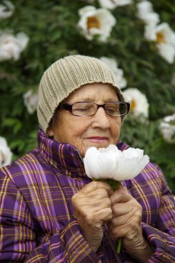 Parktaki bir bankta elinde şakayık çiçeğiyle yaşlı bir kadın. Pansiyonda kalan yaşlı bir kadın hayatın tadını çıkarır. Bakım, yaşlılık ve mutluluk kavramı.. 