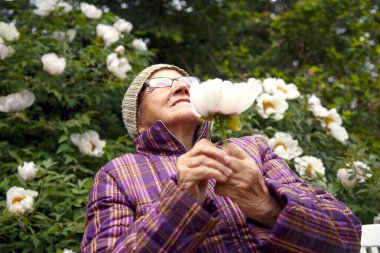 Parktaki bir bankta elinde şakayık çiçeğiyle yaşlı bir kadın. Pansiyonda kalan yaşlı bir kadın hayatın tadını çıkarır. Bakım, yaşlılık ve mutluluk kavramı.. 