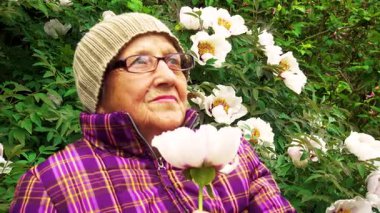 Parktaki bir bankta elinde şakayık çiçeğiyle yaşlı bir kadın. Pansiyonda kalan yaşlı bir kadın hayatın tadını çıkarır. Bakım, yaşlılık ve mutluluk kavramı..  