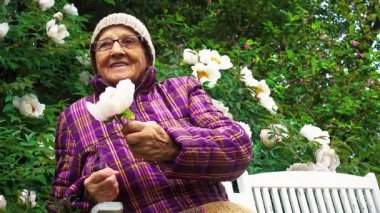 Parktaki bir bankta elinde şakayık çiçeğiyle yaşlı bir kadın. Pansiyonda kalan yaşlı bir kadın hayatın tadını çıkarır. Bakım, yaşlılık ve mutluluk kavramı..  