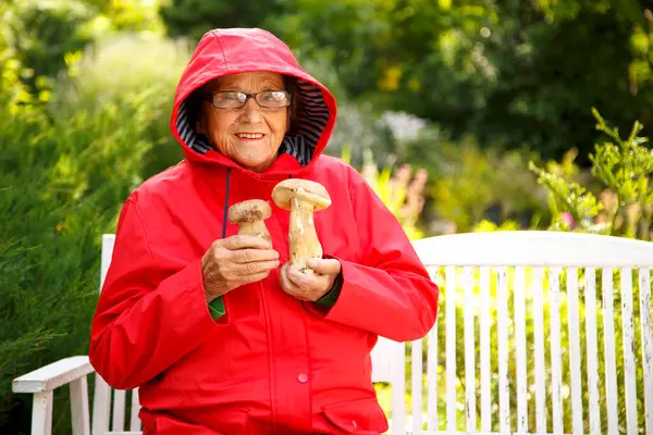 Kırmızı yağmurluk giymiş yaşlı bir mantar toplayıcısı ormanda bulunan Porcini mantarlarını elinde tutuyor. Parkta elinde mantarlarla kırmızı ceketli yaşlı bir kadın.. 