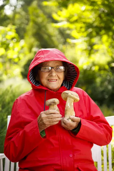 Kırmızı yağmurluk giymiş yaşlı bir mantar toplayıcısı ormanda bulunan Porcini mantarlarını elinde tutuyor. Parkta elinde mantarlarla kırmızı ceketli yaşlı bir kadın.. 