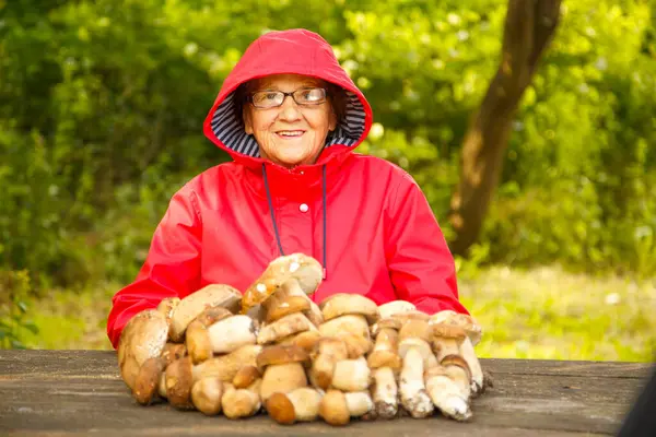 Kırmızı ceketli mutlu yaşlı bir kadın porcini mantarı topladı ve parkta bir masada oturuyor. Kırmızı yağmurluk giymiş yaşlı bir mantar toplayıcısı doğada kameraya poz verir..