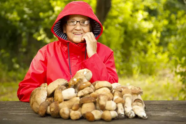 Kırmızı ceketli mutlu yaşlı bir kadın porcini mantarı topladı ve parkta bir masada oturuyor. Kırmızı yağmurluk giymiş yaşlı bir mantar toplayıcısı doğada kameraya poz verir..