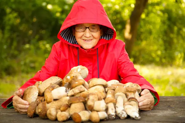 Kırmızı ceketli mutlu yaşlı bir kadın porcini mantarı topladı ve parkta bir masada oturuyor. Kırmızı yağmurluk giymiş yaşlı bir mantar toplayıcısı doğada kameraya poz verir..