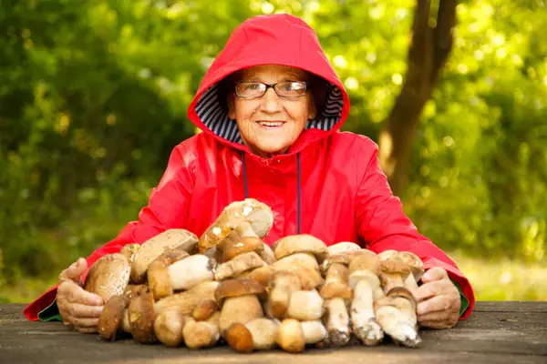Kırmızı ceketli mutlu yaşlı bir kadın porcini mantarı topladı ve parkta bir masada oturuyor. Kırmızı yağmurluk giymiş yaşlı bir mantar toplayıcısı doğada kameraya poz verir..