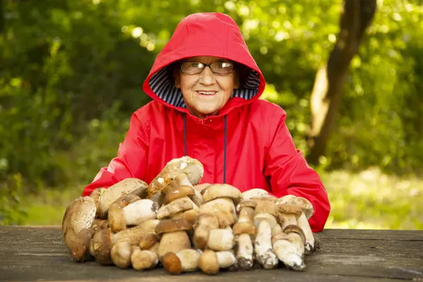 Kırmızı ceketli mutlu yaşlı bir kadın porcini mantarı topladı ve parkta bir masada oturuyor. Kırmızı yağmurluk giymiş yaşlı bir mantar toplayıcısı doğada kameraya poz verir..