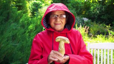 Kırmızı yağmurluk giymiş yaşlı bir mantar toplayıcısı ormanda bulunan Porcini mantarlarını elinde tutuyor. Parkta elinde mantarlarla kırmızı ceketli yaşlı bir kadın.. 