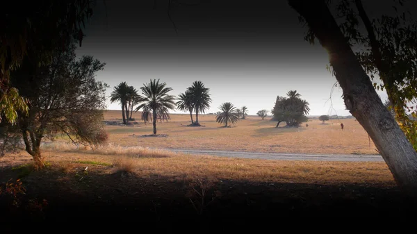 Larnaka, Kıbrıs, doğa manzarası