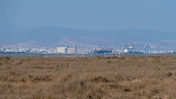 Daytime view of limassol salt lake