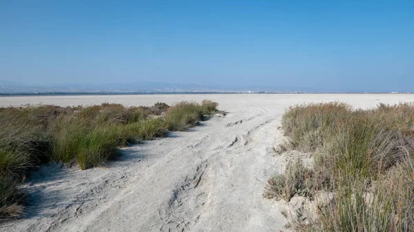 Daytime view of limassol salt lake