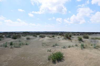 Sandy desert under cloudy sky at daytime 