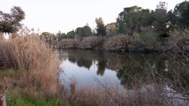 Athalassa national forest park 